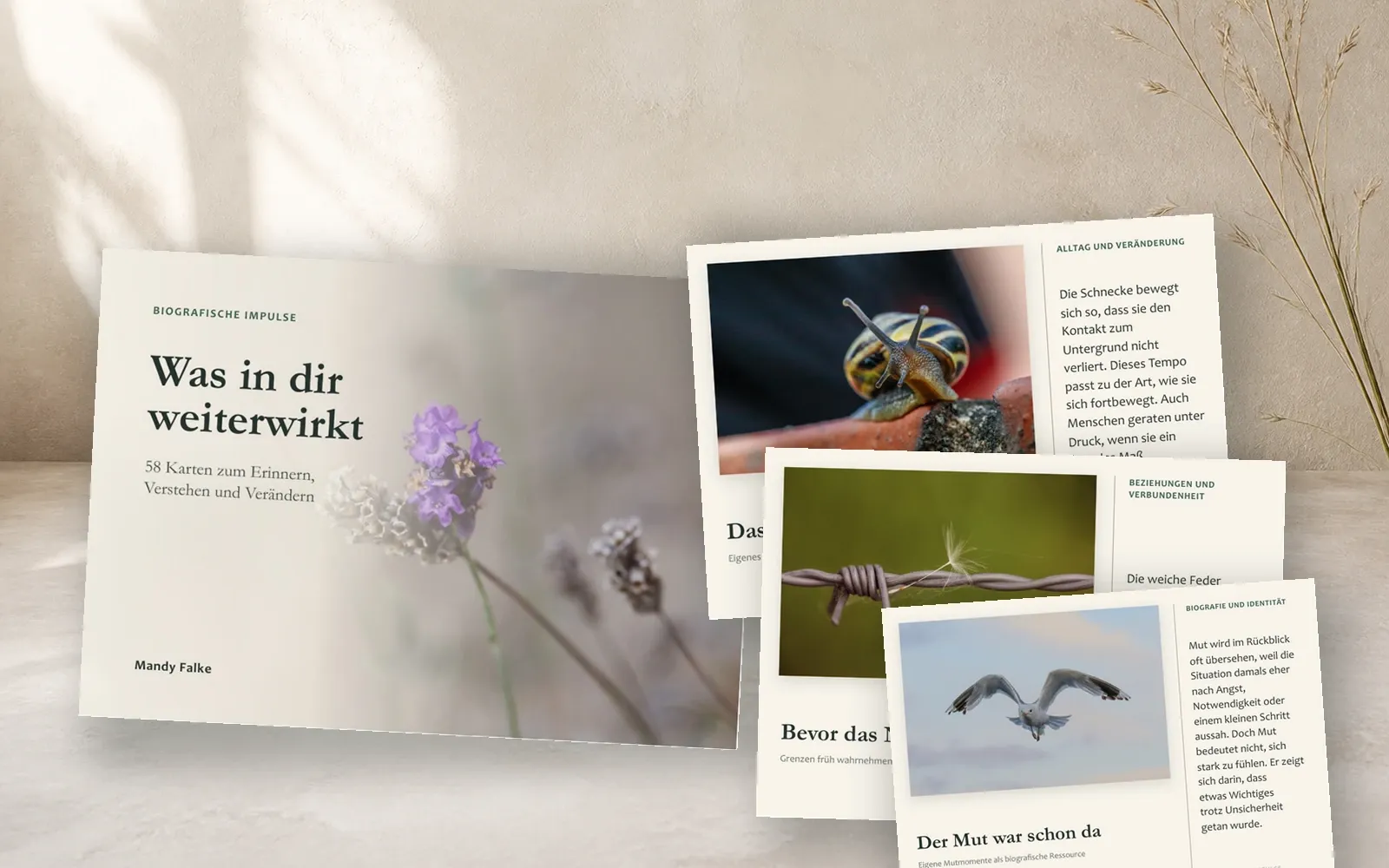 Das Kartenset Was in dir weiterwirkt mit Titelkarte und drei Beispielkarten.